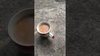 চা প্রেমী রে নক করো 🍃# food flog # চা