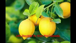 Life and Lemons