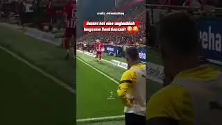Hazard hat eine unglaublich langsame Reaktionszeit 😳😂