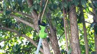 VERTAK Manual Tree Pruner Telescopic Long Reach Branch Cutter Garden Trimmer Pole Pruner Scissors