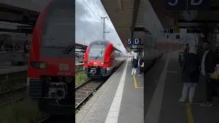 Der 190 km/h Siemens Desiro HC Br 4462 6-Teiler f&auml;hrt als RE19 von Sonneberg Hbf in N&uuml;rnberg Hbf ein