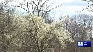 Earth Day: How to celebrate our planet, protect its future