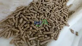 Sunflower Seed Shell Pellet Production Line &ndash; Biomass Fuel Pellets