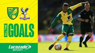 SUPERB SOLO GOAL FROM DEAN ASHTON | All The Goals | Crystal Palace v Norwich City