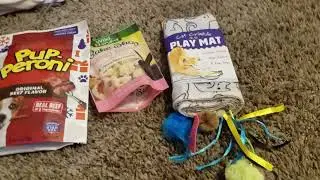 what I got the pets for Christmas #pethaul