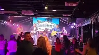 Green Grass Snakes Live at the Boardwalk - HELP
