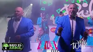 BILLO'S CARACAS BOYS - QUE TONTER&Iacute;A
