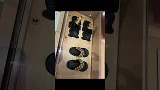BATA SHOE MUSEUM TORONTO CANADA