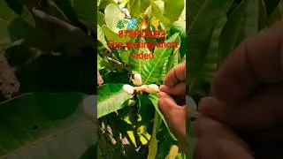 Second series meterial available 1+3Coimbatore & maharashtra My contact number Call me 9607716364