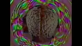HOW TO OPERATE YOUR BRAIN | Dr. Timothy Leary