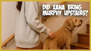 BREAKING!  A Theory - Did Dylan Hear Xana? #bryankohberger #idahofour #newdocuments