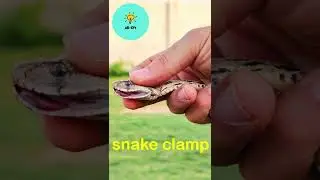 Snake Clamp Tongs#short