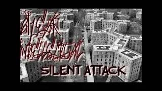 Bizear Intellectua - Silent Attack