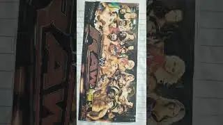 WWE VINTAGE RAW SUPERSTARS/WWE STICKER COLLECTIONS #wwe