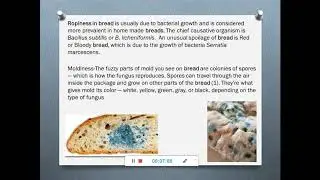 spoilage of cereal products  1
