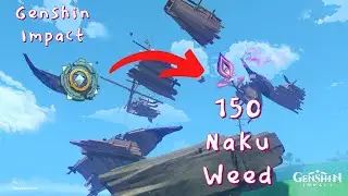 Putting in 150 Naku Weed so you don't have to | Genshin Impact