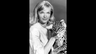 Anne Francis' Gazpacho