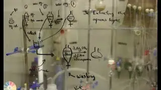 What Following Curiosity Instead of Validation Can Teach a Young Scientist