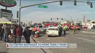 DUI driver sentenced to more than 4 years