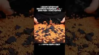 Creepy Halloween ASMR Surprises That Will Give You Chills!