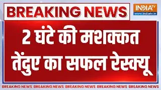Breaking News : 40 फीट गहरे कुएं में कैसे गिरा तेंदुआ? | Indore News | Indore Zoo