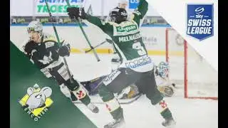 EHC Olten Goal Song 25/26