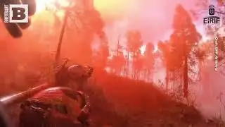 Firefighters Battling Forest Blaze Get DOUSED by Fire Retardant Dumped from Plane