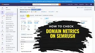 How to Check Domain Metrics Using Semrush Tool