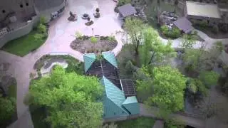 Brown Bear Exhibit Renovation