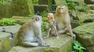 Kendra's Heartwarming Reunion With Auntie monkey Jane! You Won't Believe It!