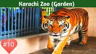 Karachi Zoo Walking Tour In 2023/Garden Karachi #EasyWalks