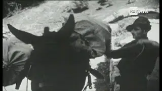 MEMORIE DI GUERRA - PAOLO MERLI