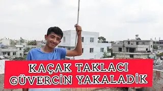 KAÇAK TAKLACI GÜVERCİN YAKALADİK ( KÜÇÜK CAMBAZ )