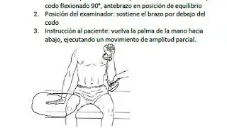FUERZA MUSCULAR CODO Y MUÑECA