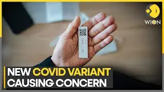 New Covid variant BA.2.86 found in Israel, Denmark and US | Latest World News | WION
