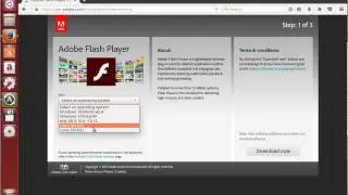 Fix Couldn&rsquo;t load plug-in error in Windows, Chrome, Opera & Linux