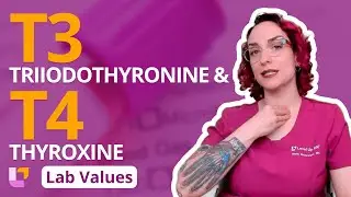 Triiodothyronine (T3) & Thyroxine (T4): Lab Values for Adults, Nursing School  | @LevelUpRN