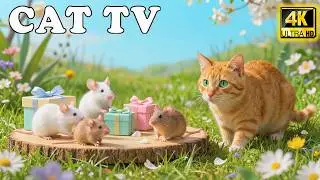 🔴 Cat TV for Cats 🐭 Real Mice Chase & Hide | Ultimate Fun & Stress Relief for Cats
