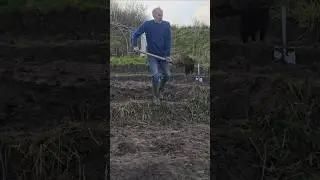 Проект благоустройства территории в Чинампасе #фитнес_мотивация #чинампас #овощной_сад #грязь #пр...