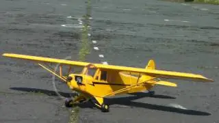 Hangar 9 J3 'Piper Cub' 1/4-scale