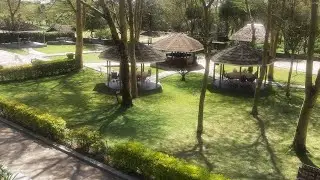 Travel Diaries/elementaita /kenya 