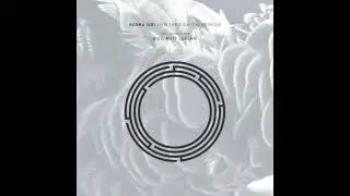 View Through the Keyhole (Original Mix) / Rynth records