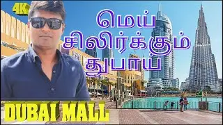 Dubai Mall 13 fun things to do other than shop!4K துபாய் மாலில் பார்க்க வேண்டிய அற்புதமான 13 இடங்கள்
