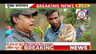 Good Samaritans rescue rare white owl from Golf Link area