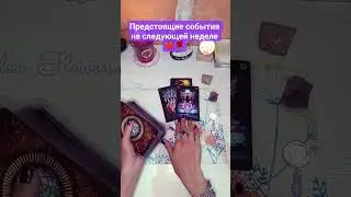 #shorts #reels #tarot #onlinefortunetelling #tarotreader #fortune telling #tarot #love