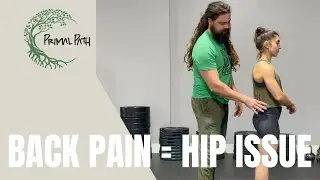 REViVE the BODY Part 1/5: Identify pain symptoms and dysfunctional joints.