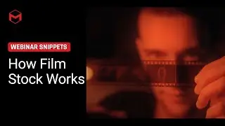 How Film Stock Works