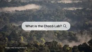 What is the Choc&oacute; Lab?