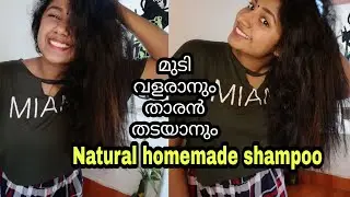 🔥Natural homemade shampoo using reetha powder /removes dandruff and oily scalp