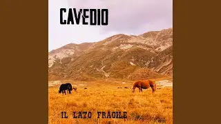 Il lato fragile